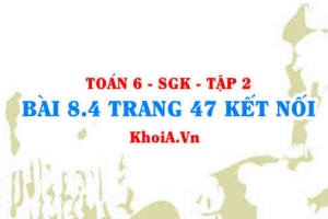 Bài 8.4 trang 47 Toán 6 Tập 2 Kết nối tri thức
